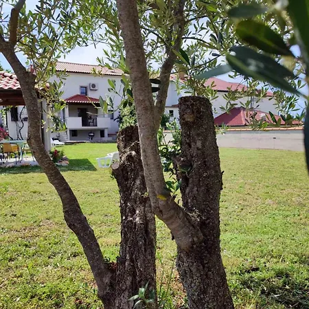 Vila Kuca Dumar