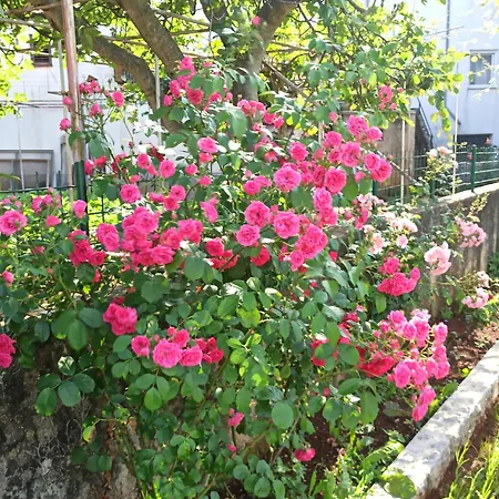 Kuca Dumar Vilă Malinska