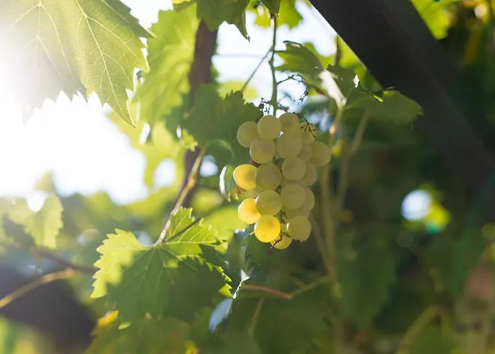 Βίλα Kuca Dumar Malinska