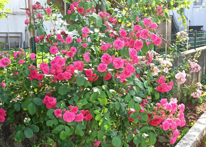 Kuca Dumar Villa Malinska